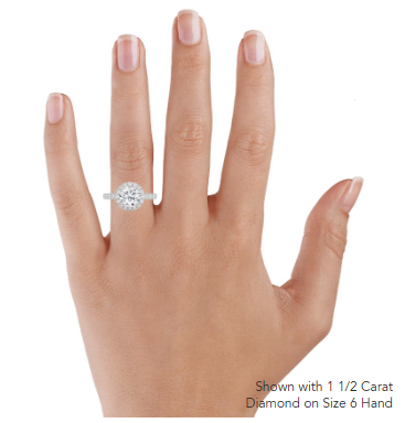 Sienna Halo Three-Quarter Coverage Diamond Engagement Ring