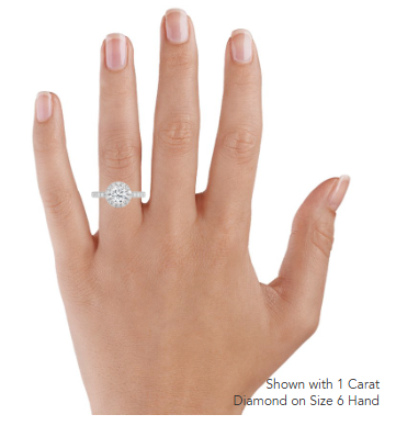 Sienna Halo Three-Quarter Coverage Diamond Engagement Ring