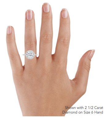 Waverly Halo Diamond Engagement Ring