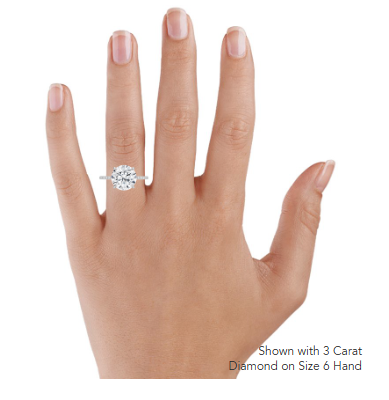 Kristen Diamond Engagement Ring Hidden Halo