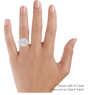 Sienna Halo Three-Quarter Coverage Diamond Engagement Ring