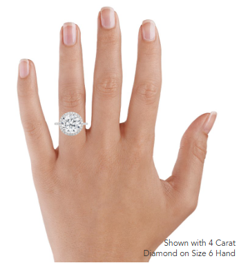 Waverly Halo Diamond Engagement Ring