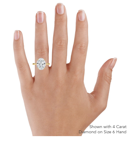 Freesia Hidden Halo Oval Diamond Engagement Ring