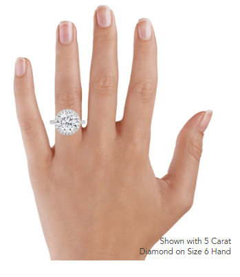 Sienna Halo Three-Quarter Coverage Diamond Engagement Ring