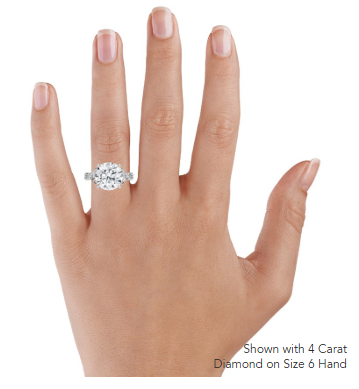 Elodie Engagement Ring Low Profile