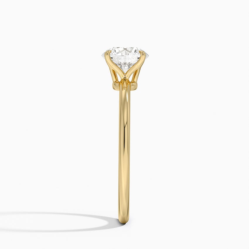 Elodie Engagement Ring Low Profile