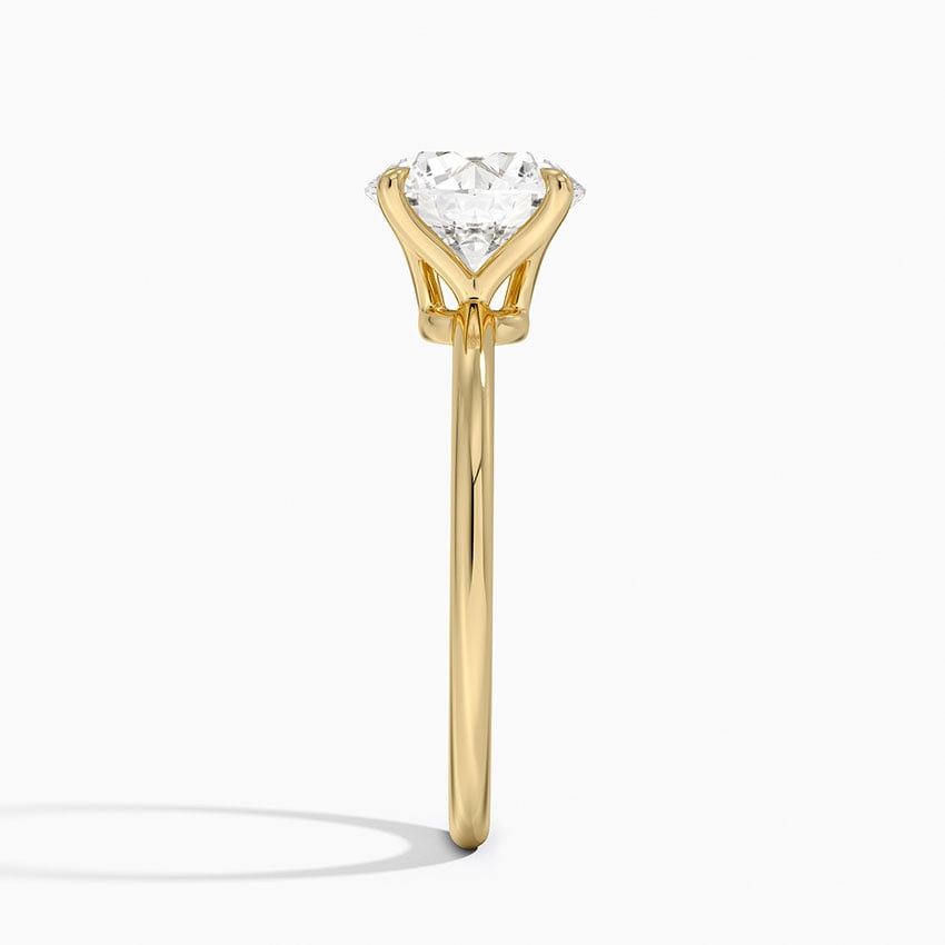 Elodie Engagement Ring Low Profile