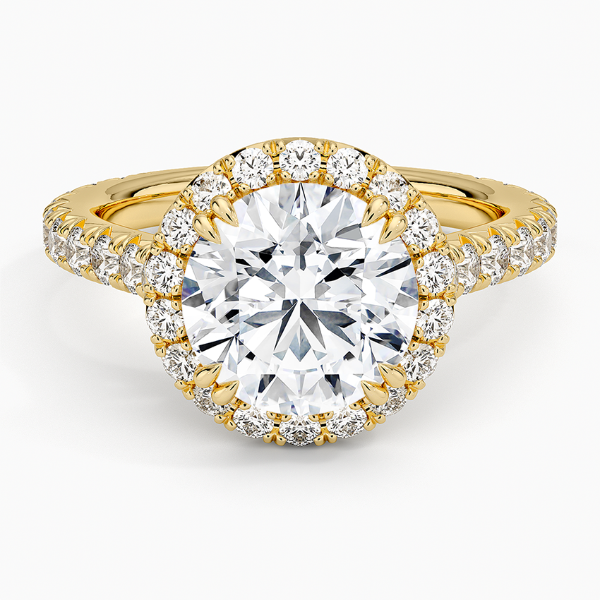 Sienna Halo Three-Quarter Coverage Diamond Engagement Ring