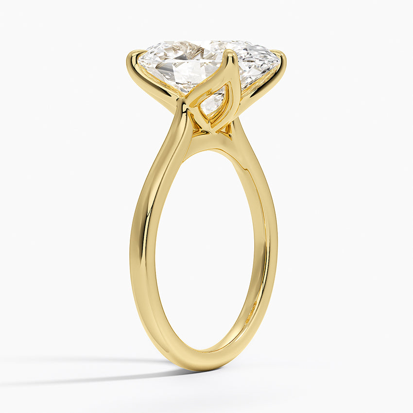 Elodie Cathedral Solitaire Ring