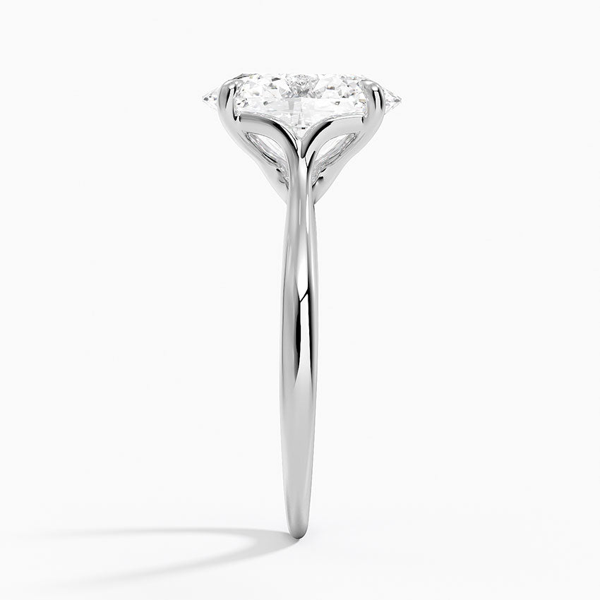 Freesia Cathedral Solitaire Ring